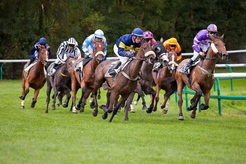 horse racing